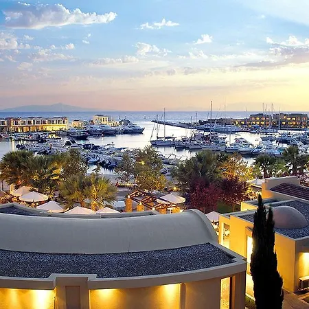 Beautiful In Sani