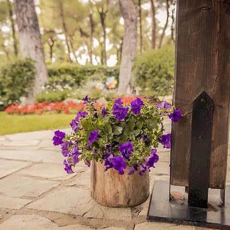 Beautiful In Sani Willa Sani (Chalkidiki)