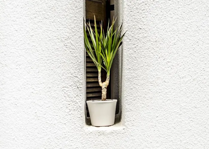 Beautiful In Sani Sani (Chalkidiki)