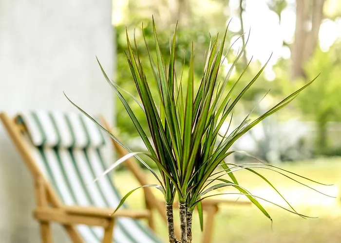 Beautiful In Sani Villa Sani (Chalkidiki)