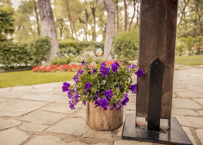 Beautiful In Sani Villa Száni-part